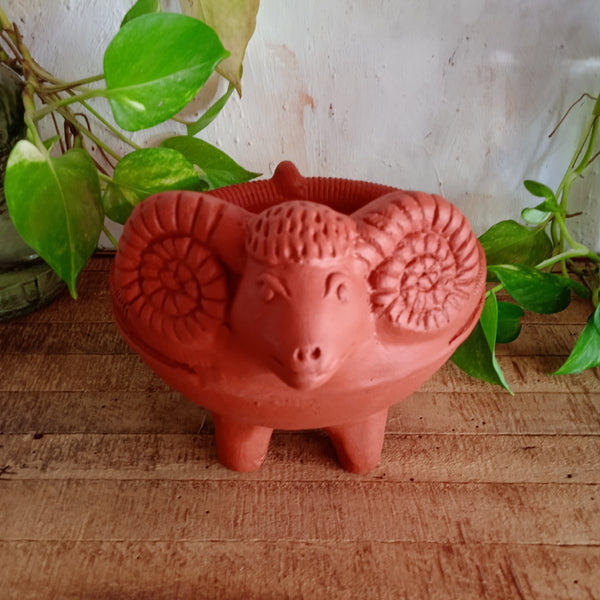 Terracotta Ram Planter